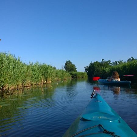 B&B De Zilverreiger Belt-Schutsloot Exterior foto