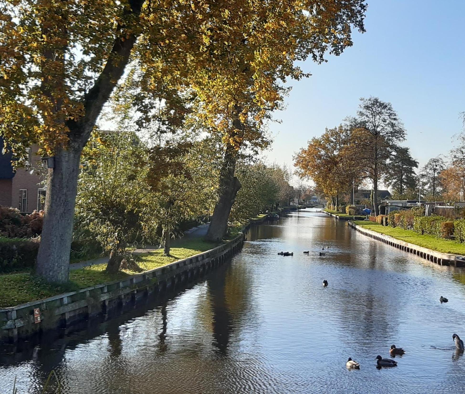 B&B De Zilverreiger Belt-Schutsloot Exterior foto